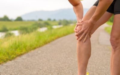 Knee Osteoarthritis Research Studies